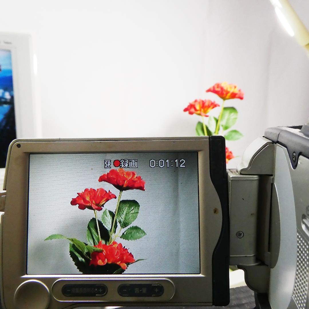 動作品 ソニーDCR-TRV30 MiniDV ビデオカメラDVDダビングに最適