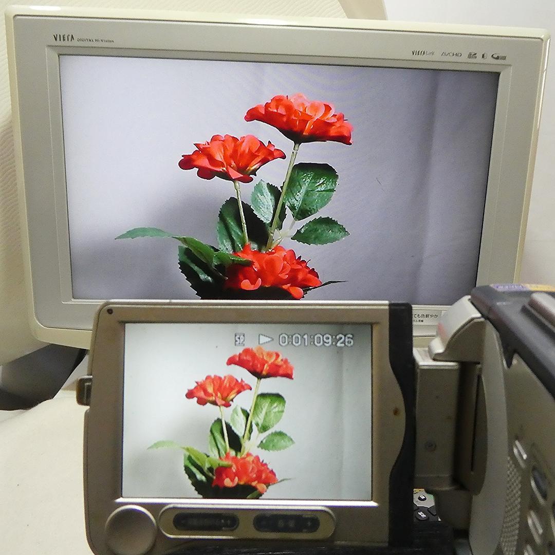 動作品 ソニーDCR-TRV30 MiniDV ビデオカメラDVDダビングに最適