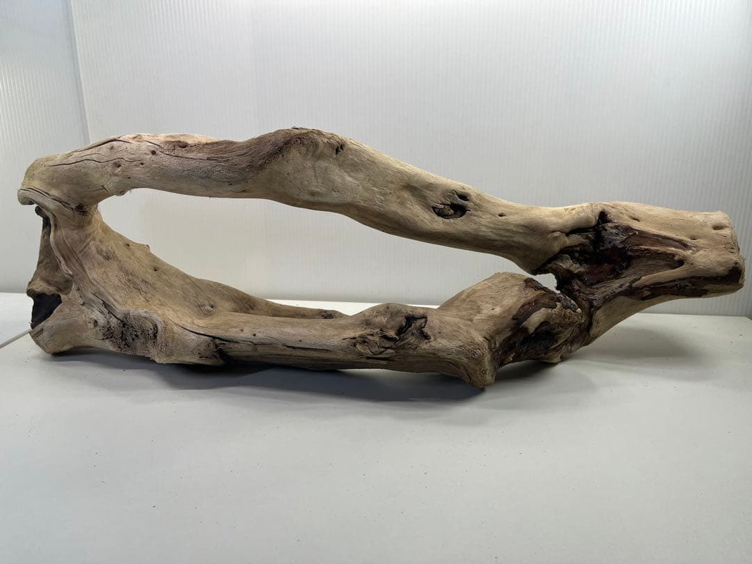 n85大型流木 アク抜き済み 爬虫類シェルター 登り木 レイアウト用 インテリア