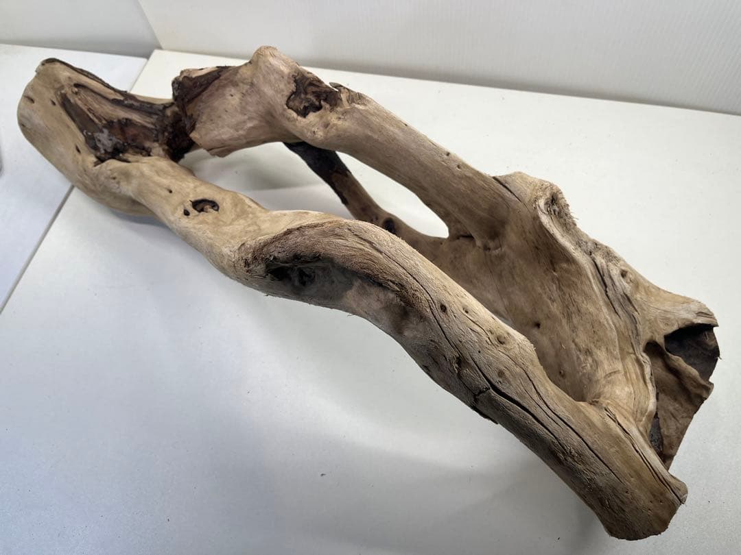 n85大型流木 アク抜き済み 爬虫類シェルター 登り木 レイアウト用 インテリア