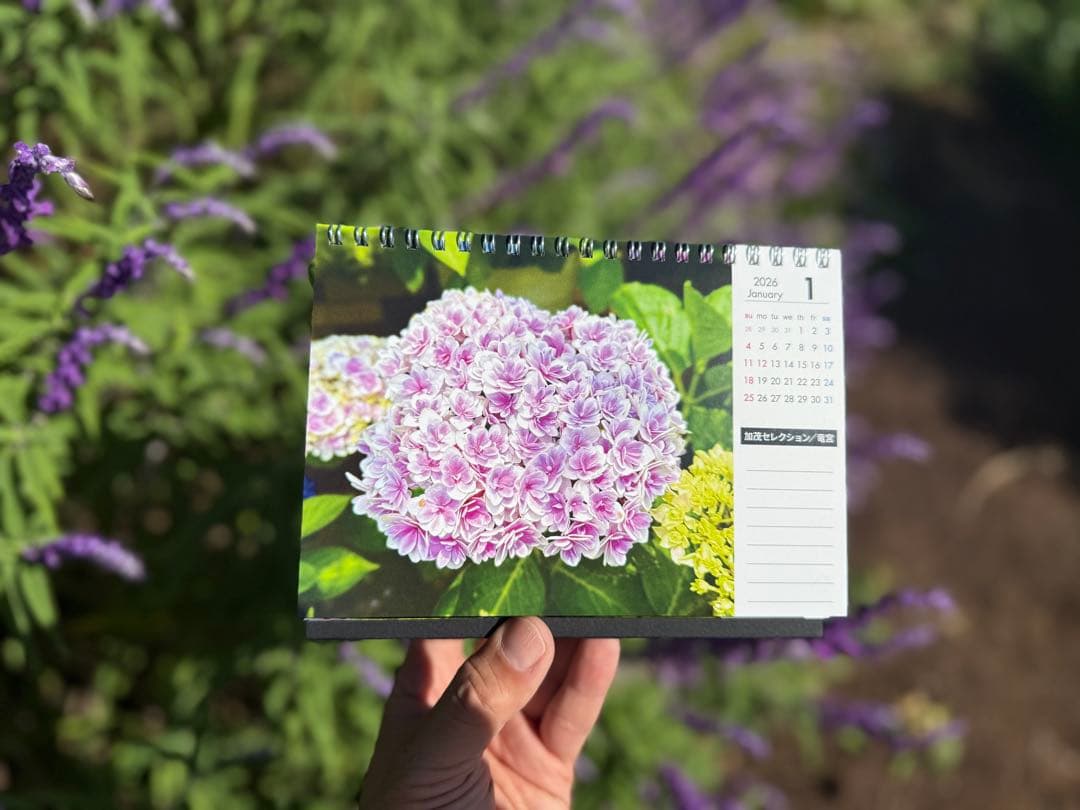 ◆◆花々の音色さん専用セット◆◆