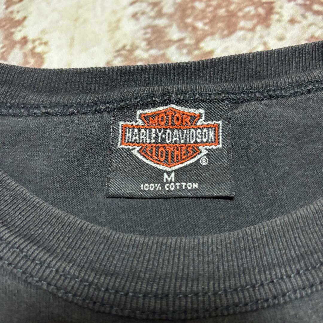 【極レア】ビンテージ 90s ハーレーダビッドソン HARLEY ノースリーブ