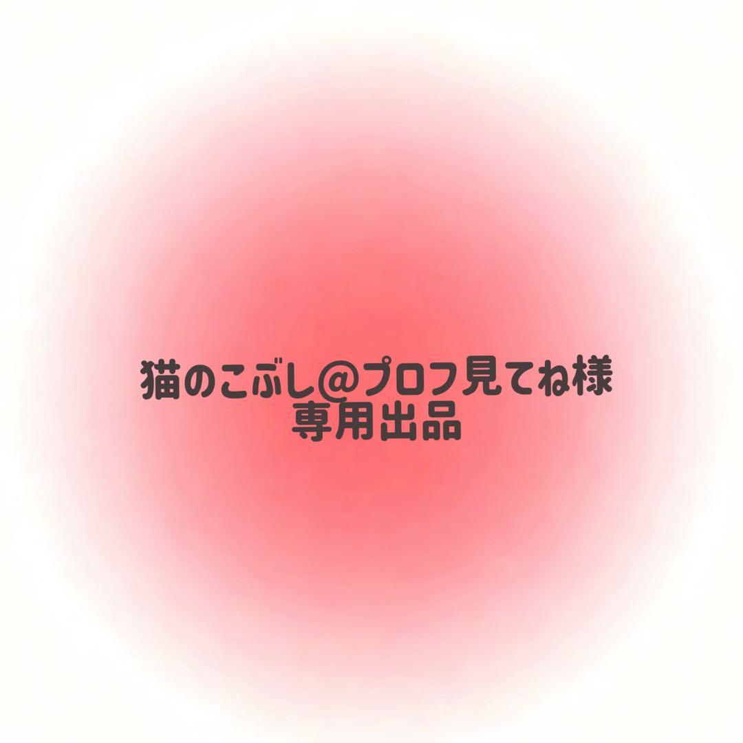 猫のこぶし@プロフ見てね出品