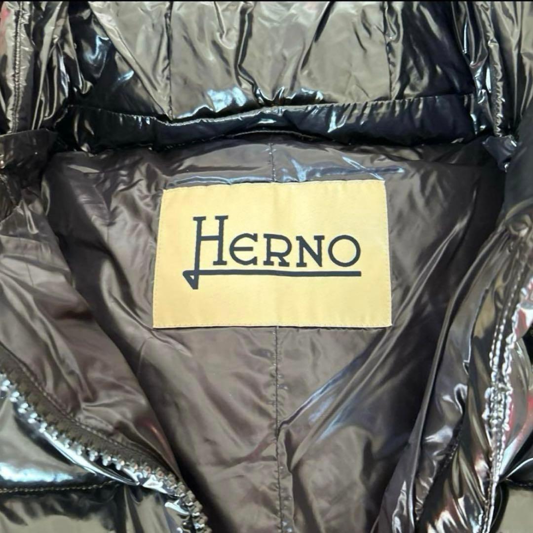 ル*コ様 HERNO ヘルノ 40 ダウン　ジャケット　グロッシー　ダウンコート