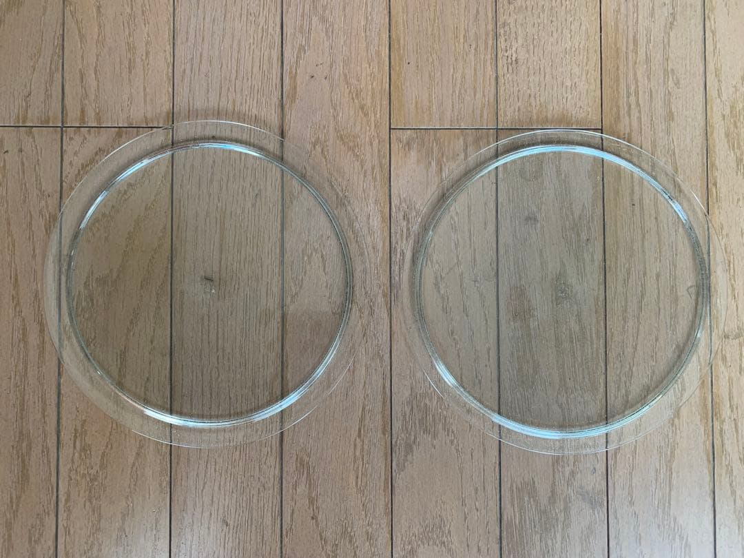 【新品】Peter Ivy リムプレート　2枚セット