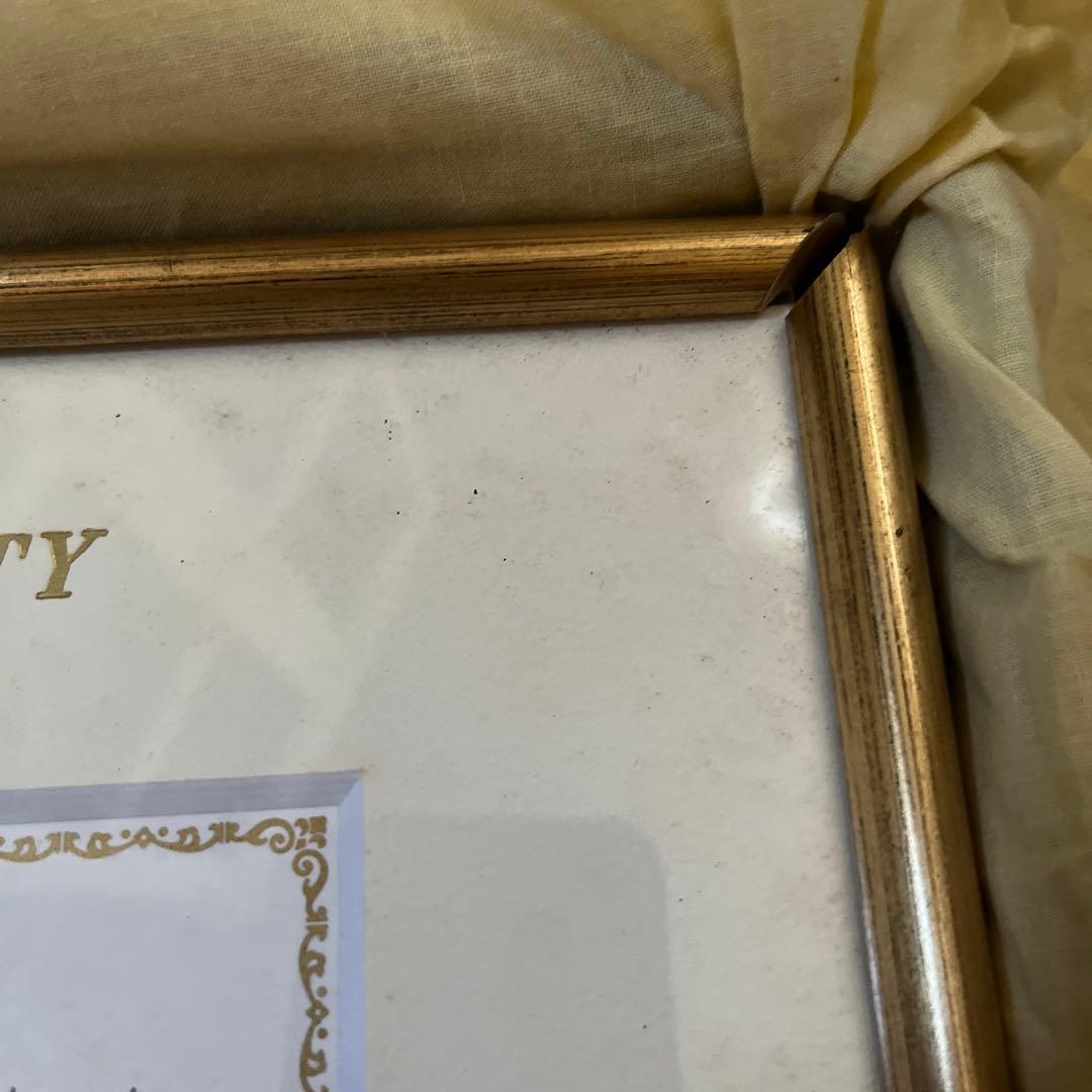 富永　直樹　バラと少女の証書