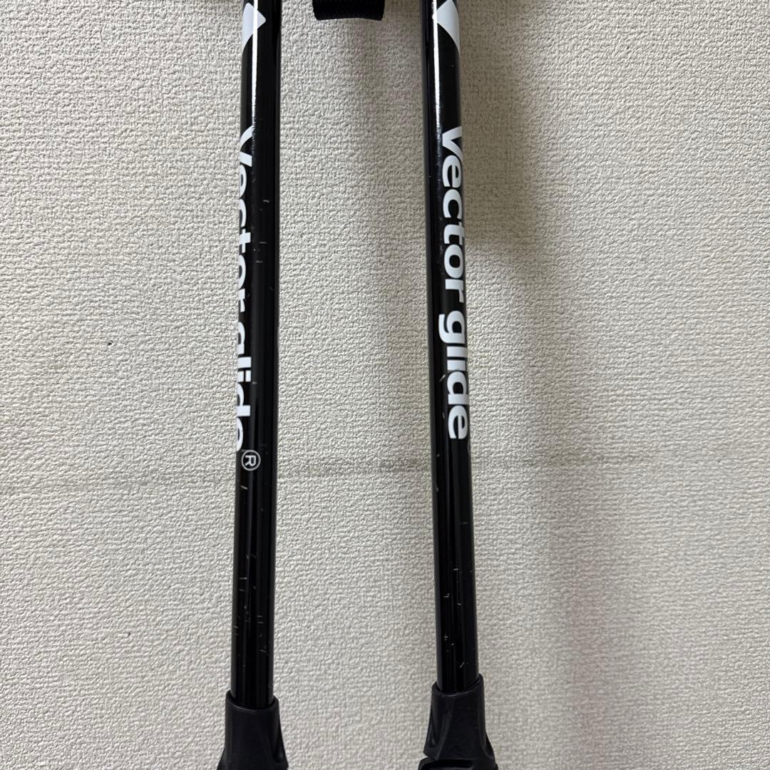 ベクターグライド　V STICK スキー　ストック