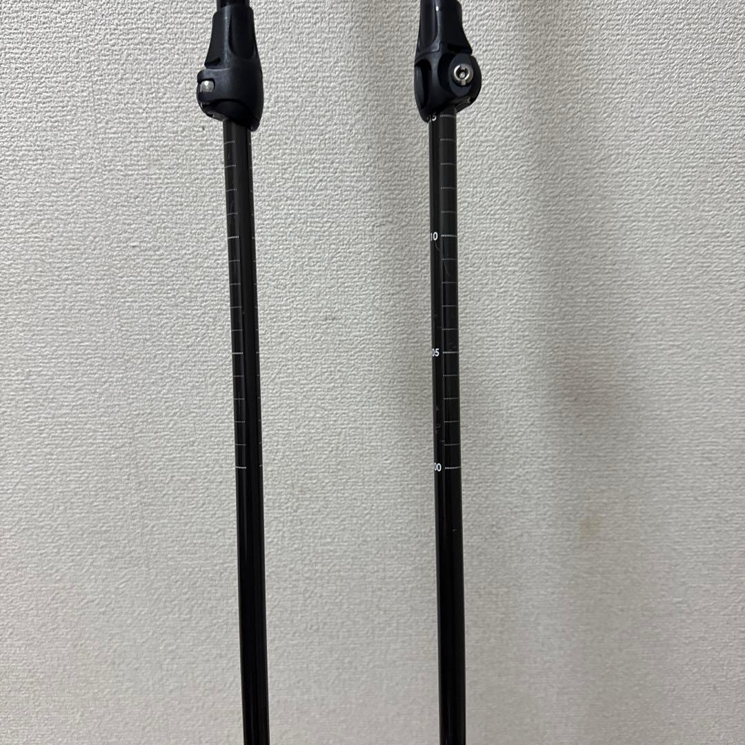 ベクターグライド　V STICK スキー　ストック