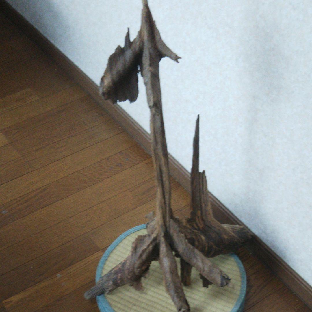 希少肥松オブジェ