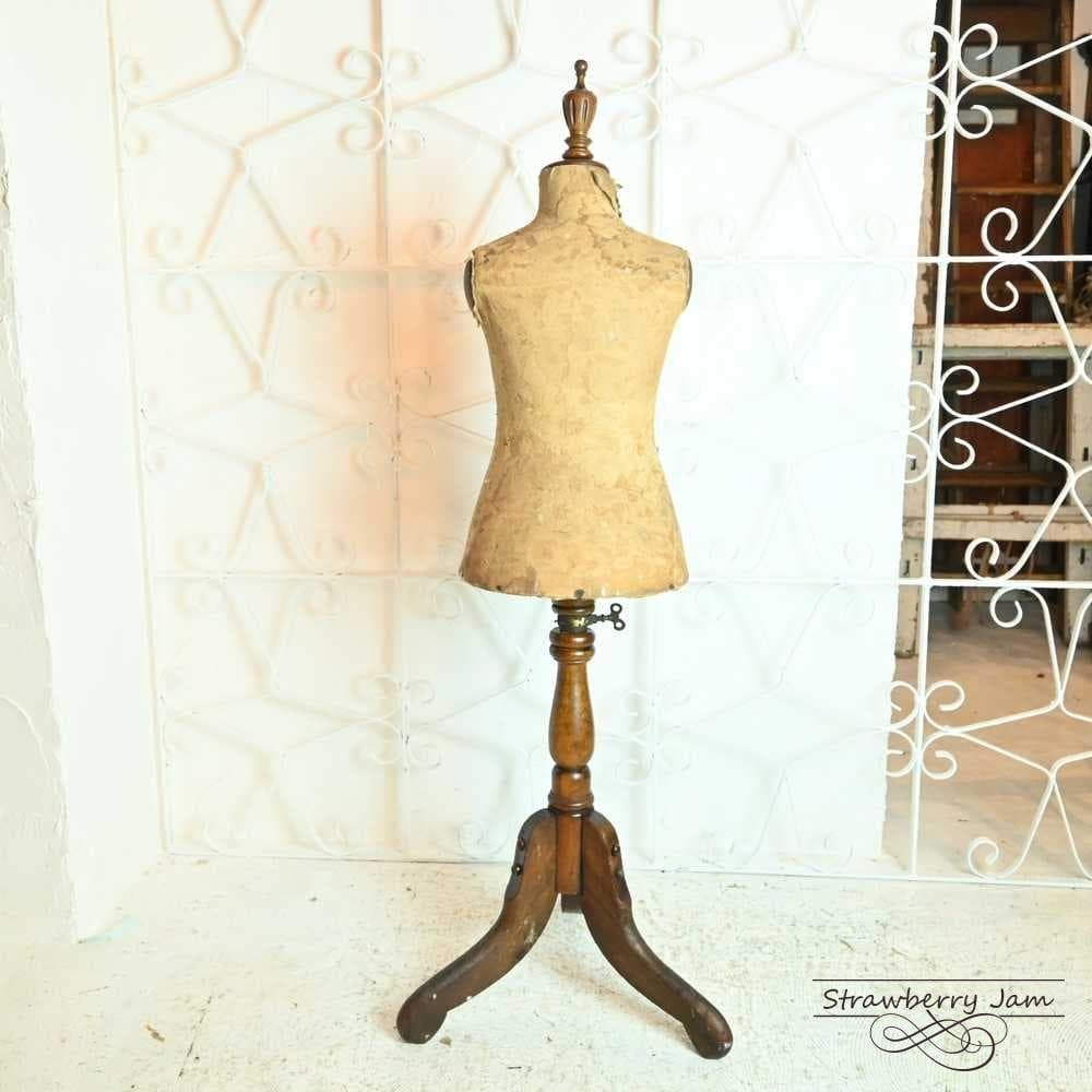 L3705-18 英国アンティーク チャイルド Torso トルソー マネキン