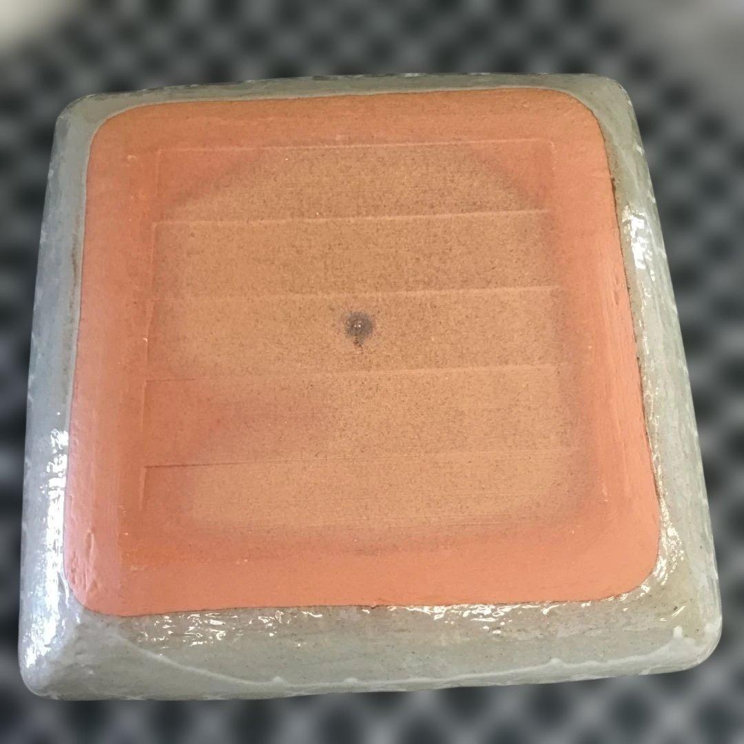 たち吉　金彩草花　盛皿　角皿　桐箱　橘吉　タチキチ　6枚セット