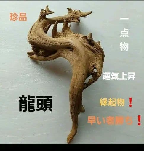 変木(龍神木)天然木根、希少、珍品、一点物❗