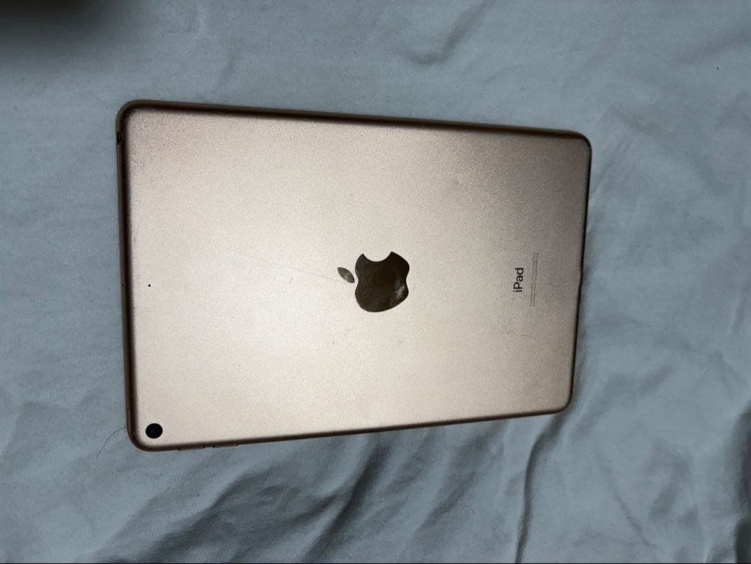 Apple iPad mini 5 ピンクゴールド 箱無し 本体のみ