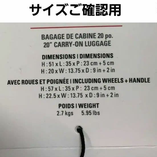 Rolling Stones　ローリングストーンズ　キャリー オン ケース