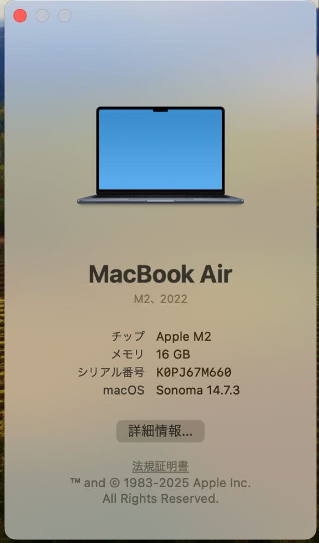 MacBook本体 Apple MacBook Air M2 2022 16GB