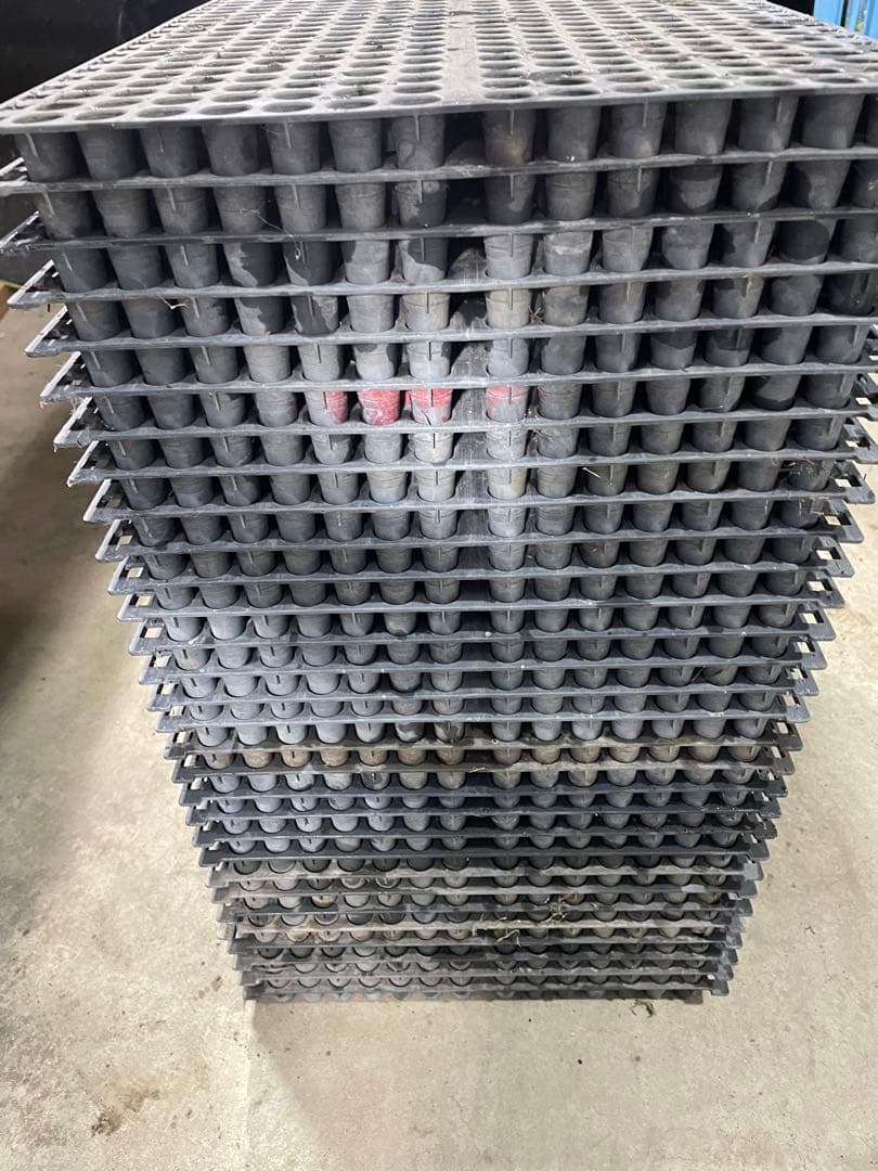 みのるポット40枚