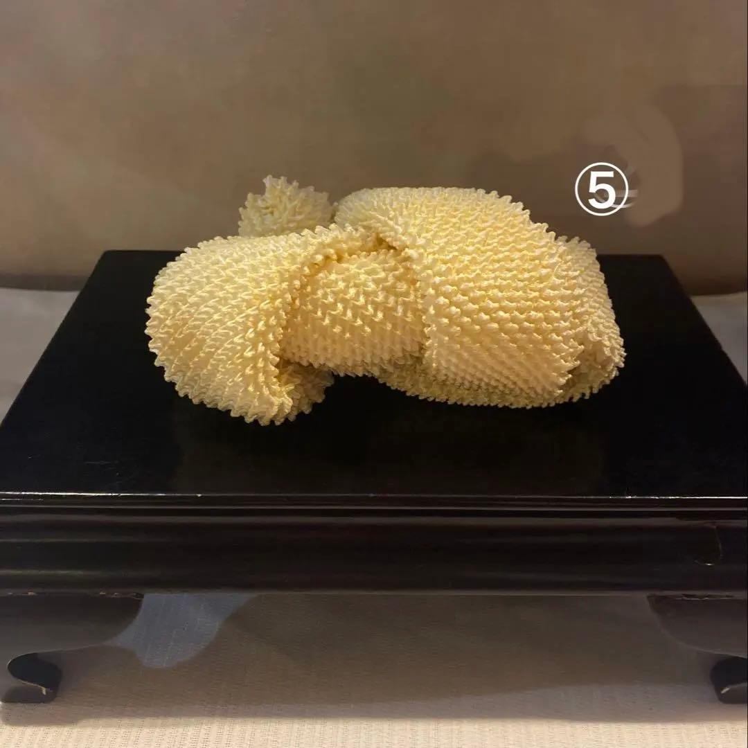 七五三　成人式　鹿の子　一本