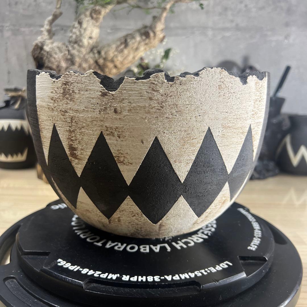 手作植木鉢 LLサイズ 検（ 塊根植物 グラキリス パキプス アガベ)