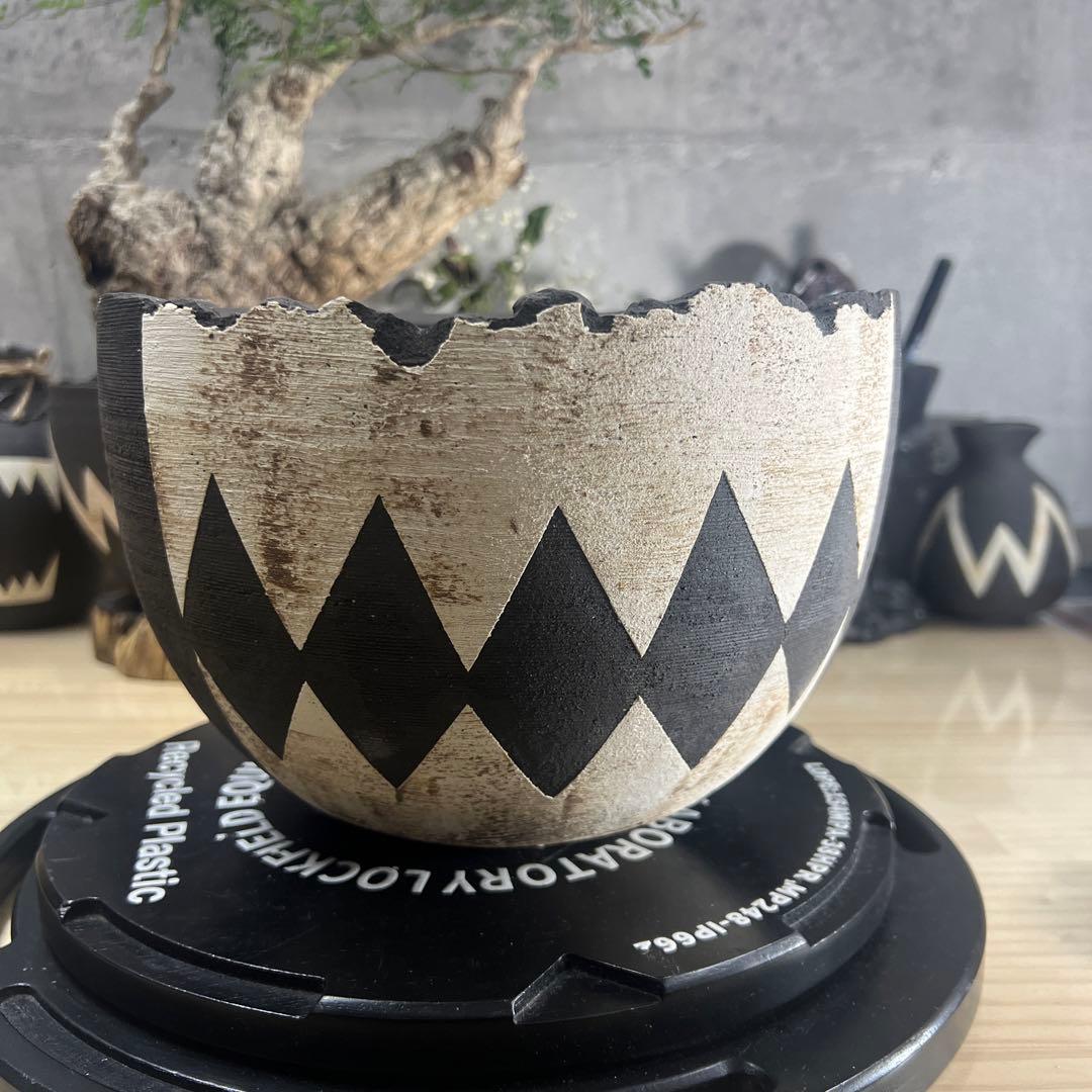 手作植木鉢 LLサイズ 検（ 塊根植物 グラキリス パキプス アガベ)