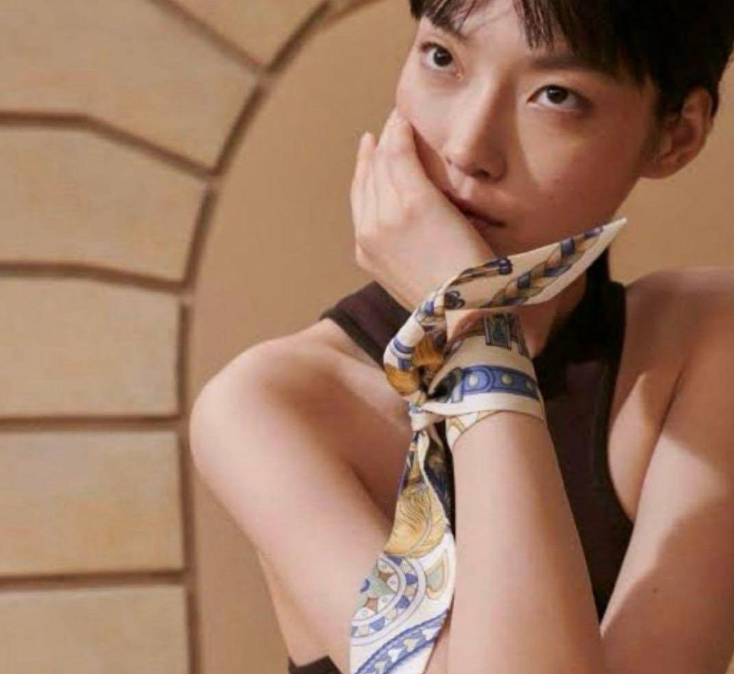 エルメスツイリー