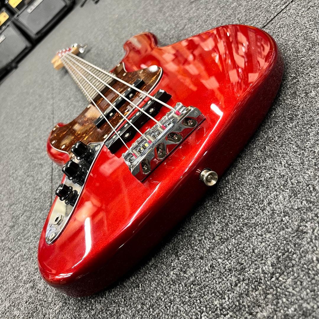 ケース追加【11205】【左利き用】 Legend by Aria Pro II