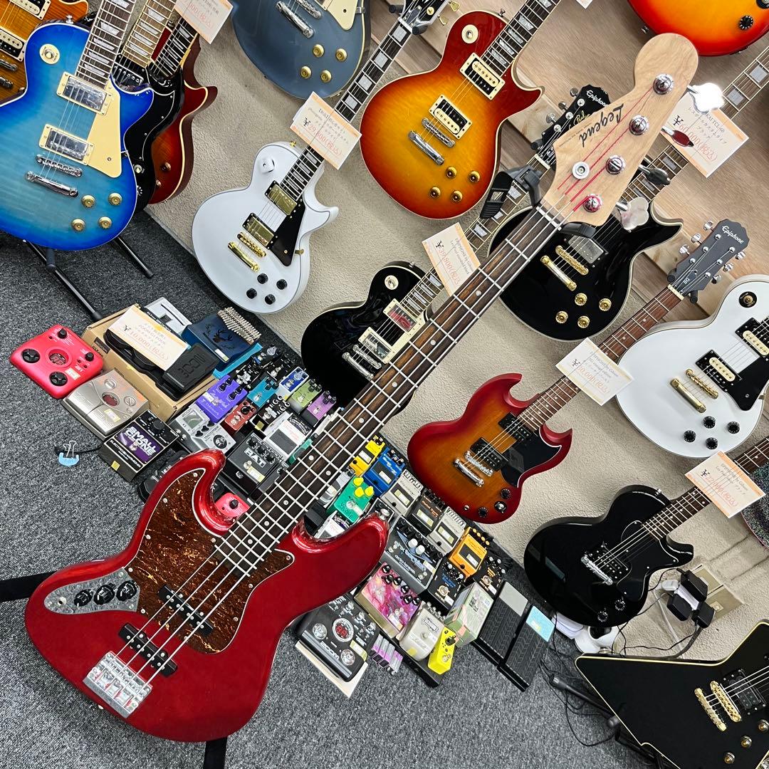 ケース追加【11205】【左利き用】 Legend by Aria Pro II