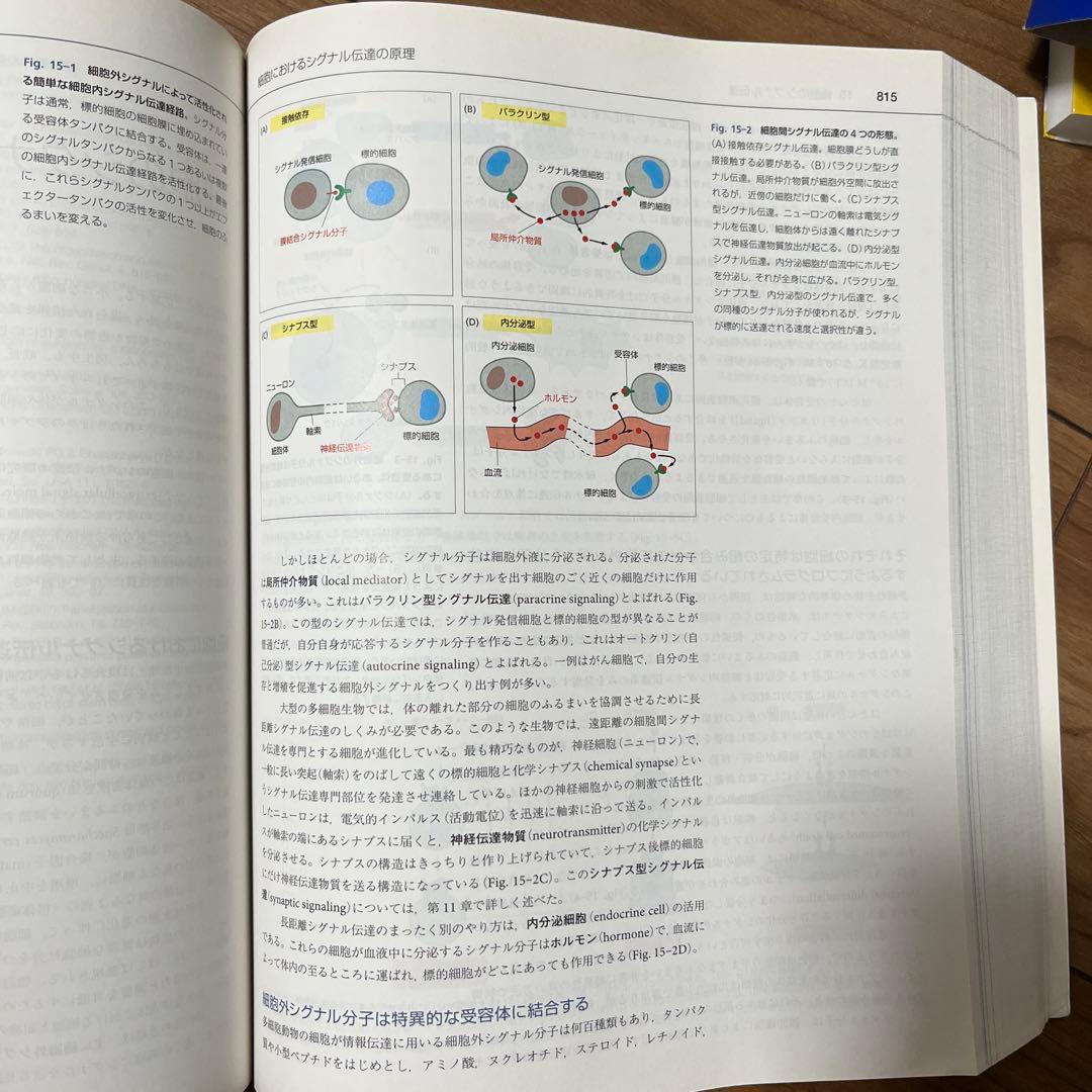【きだうさま専用】細胞の分子生物学