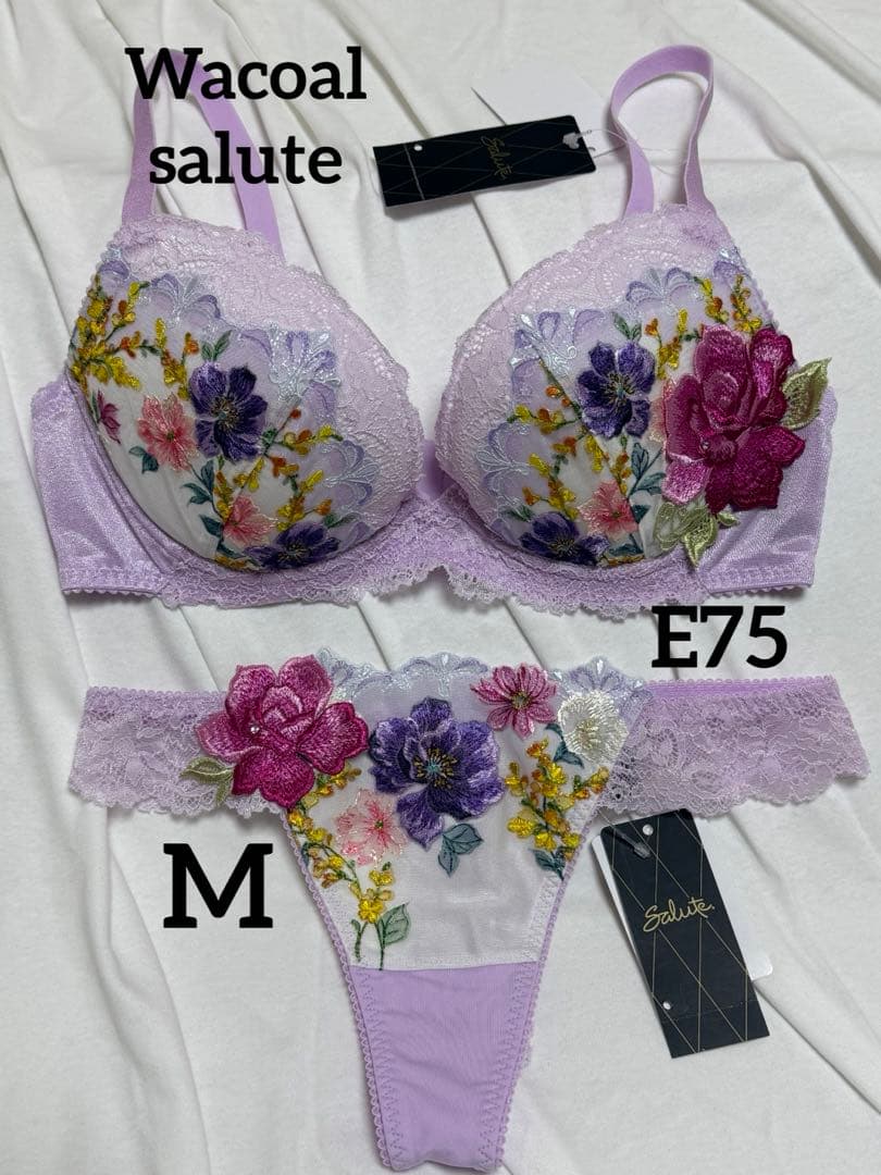 ワコール　サルート　ブラソングセットE75M