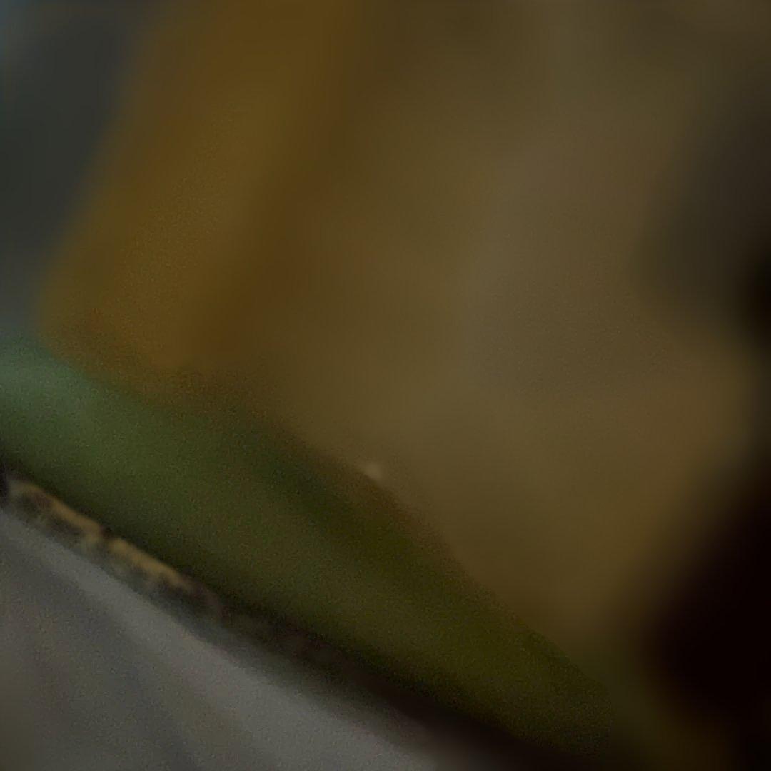 9029　巨大家具運賃として