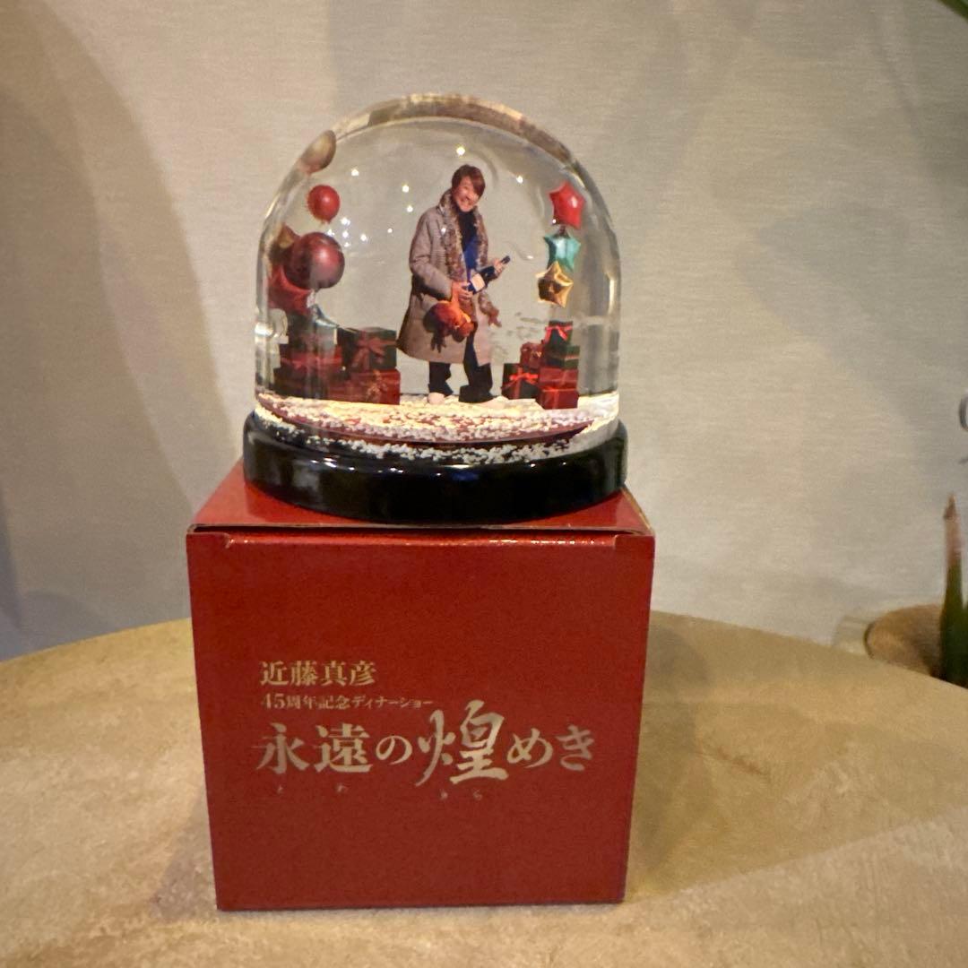 近藤真彦 スノードーム 永遠の煌めき