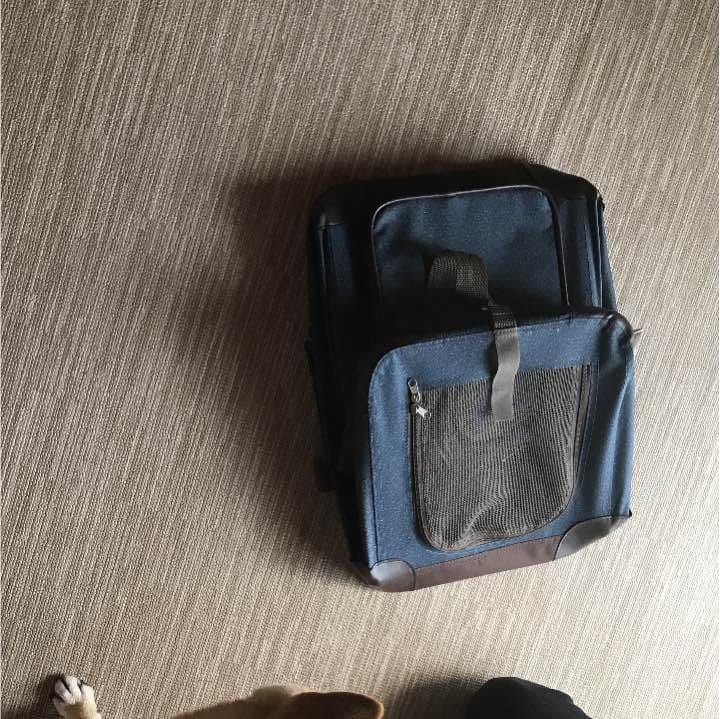 ドッグキャリー