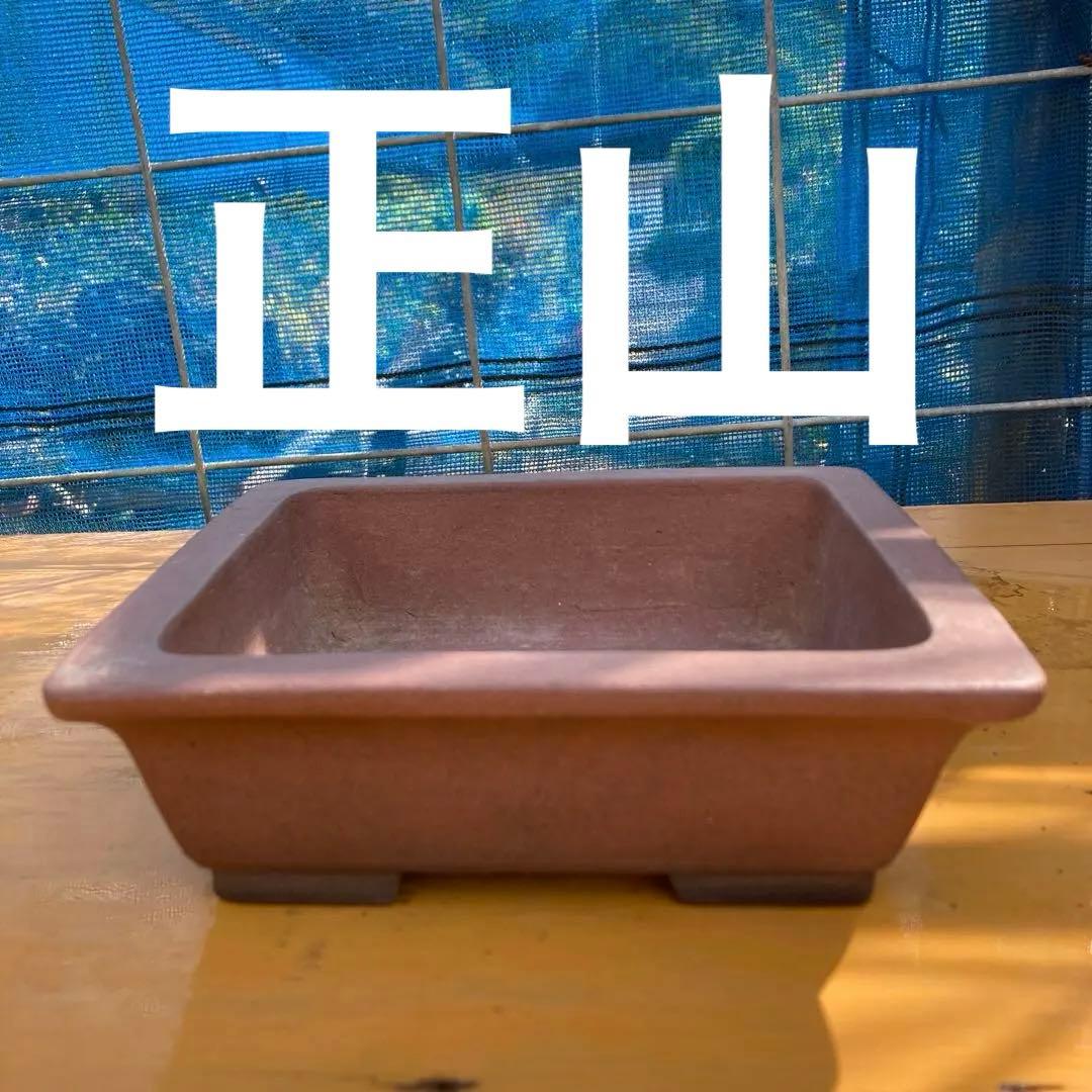 正山奥行があり使い易い鉢。