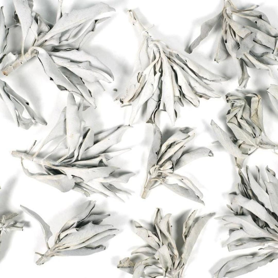 激安お買い得☆800g＜浄化☆邪気祓い☆カリフォルニア産ホワイトセージ枝付き＞