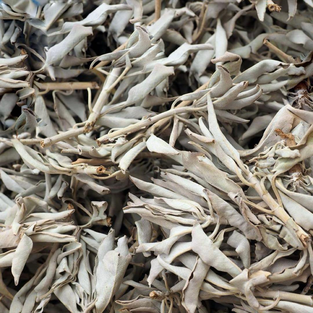 激安お買い得☆800g＜浄化☆邪気祓い☆カリフォルニア産ホワイトセージ枝付き＞