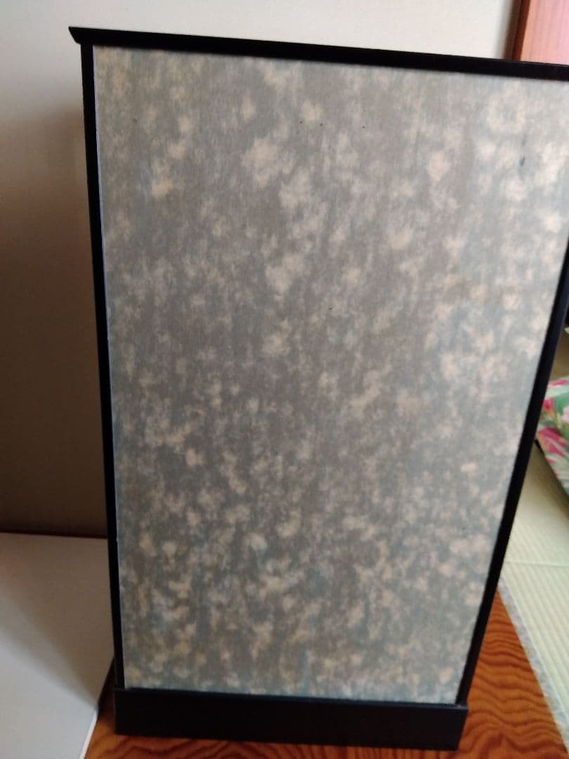 羽子板、お正月、人形ケース入り、オルゴール付き