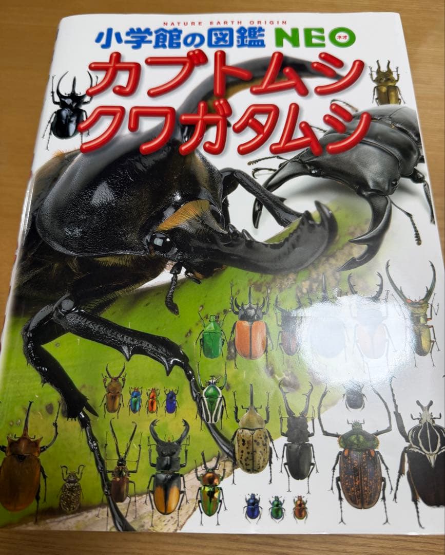 小学館の図鑑NEO 11冊セット　DVD欠品