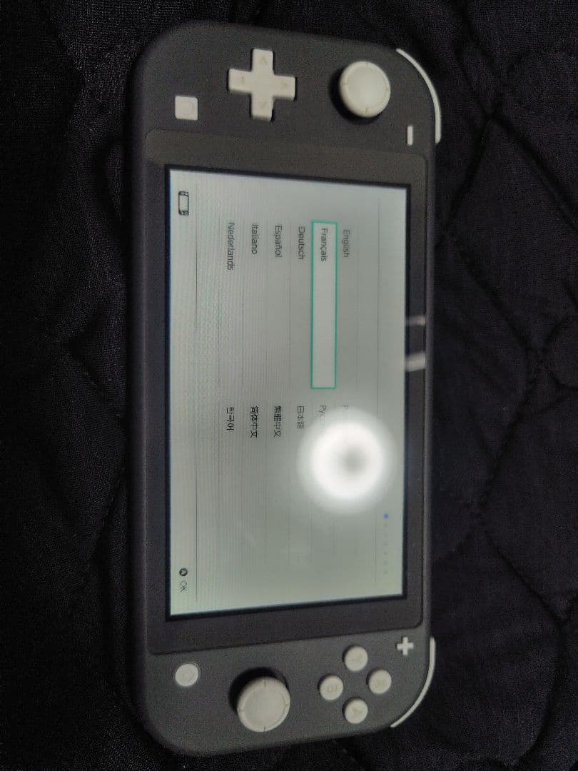 Switchライト　microSD128GB付