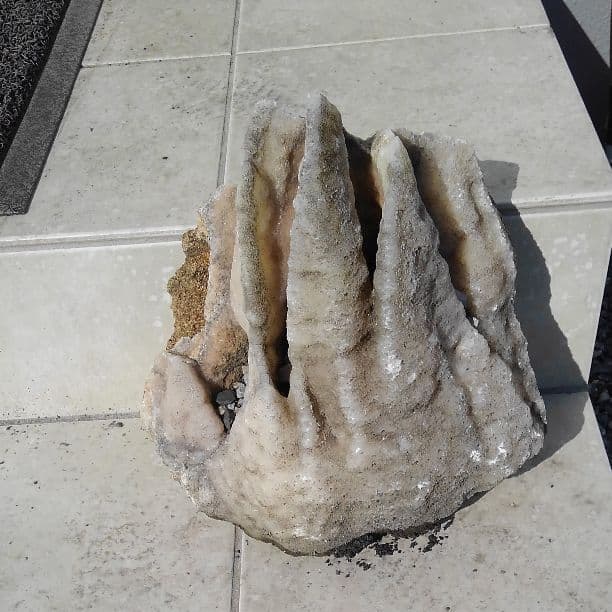 鍾乳石　モンスター