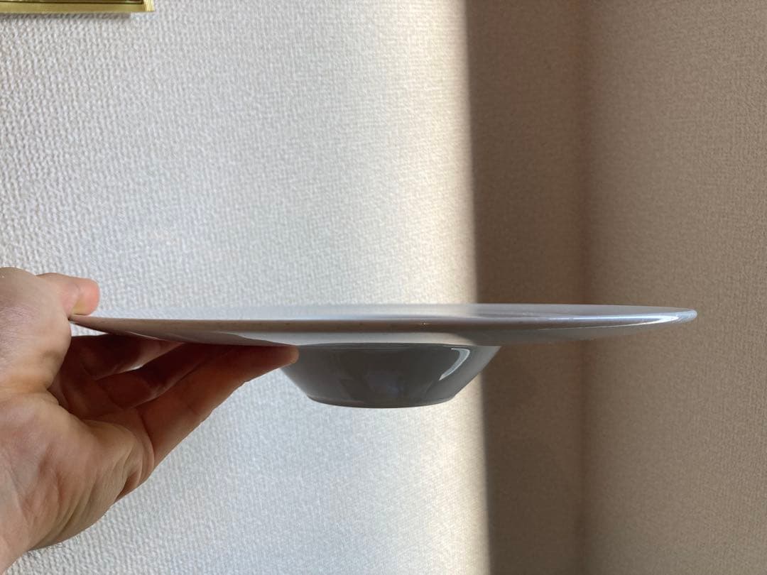 リム深皿 29cm 10枚セット｜レストラン・業務用にもおすすめ✨