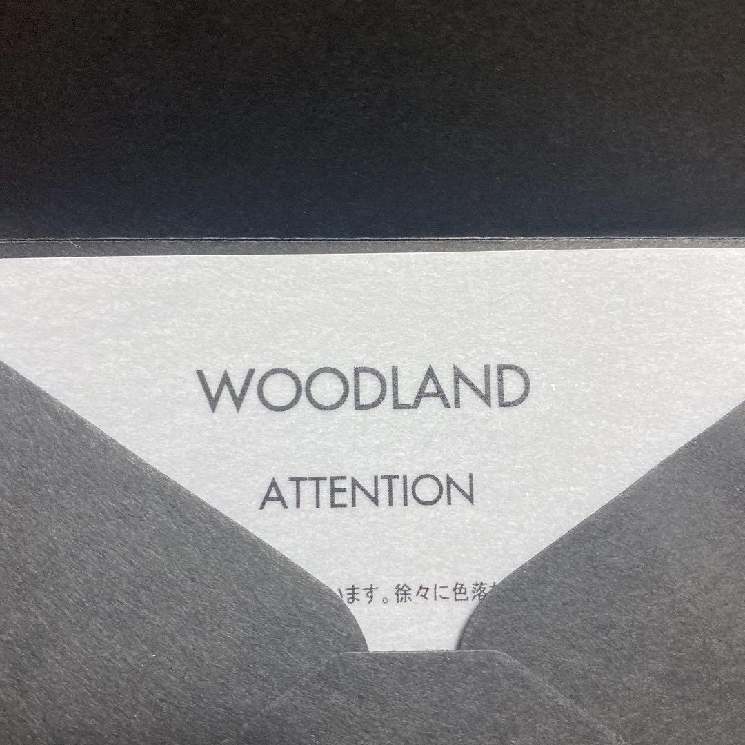 インビジブルインク　新品未使用品　希少品