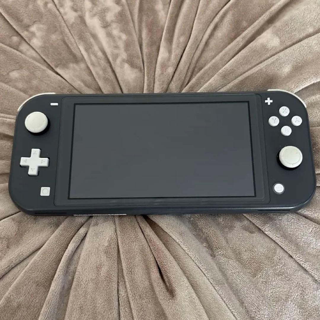 Switch light 訳あり　ケース付き