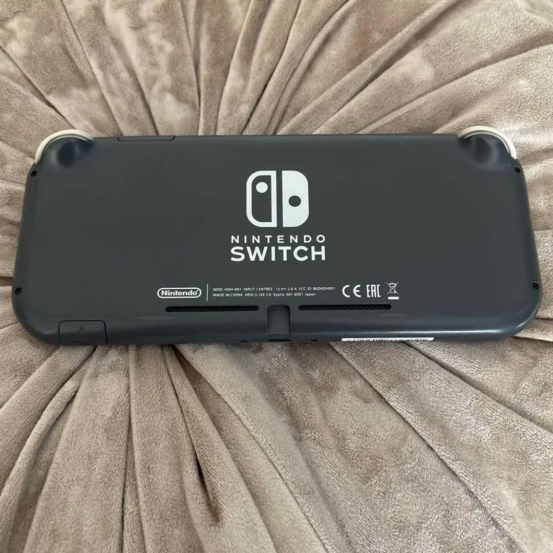 Switch light 訳あり　ケース付き