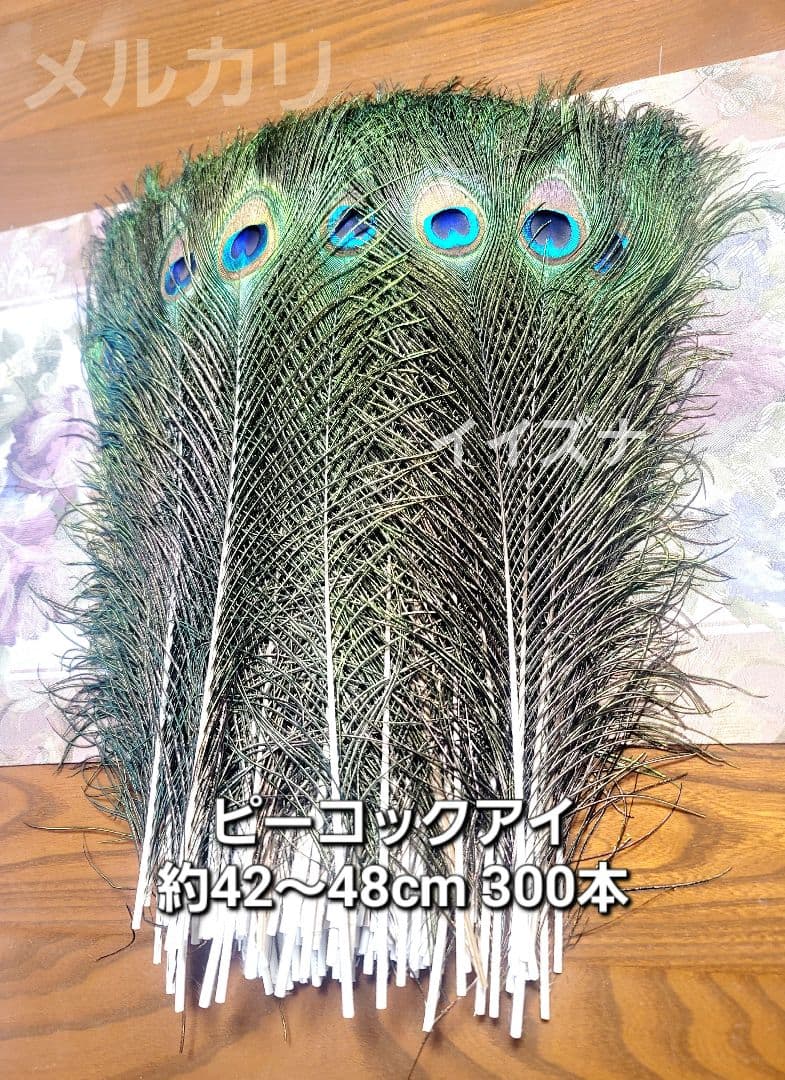 孔雀の羽根 ピーコックアイ 300本 コエポン様ご依頼品
