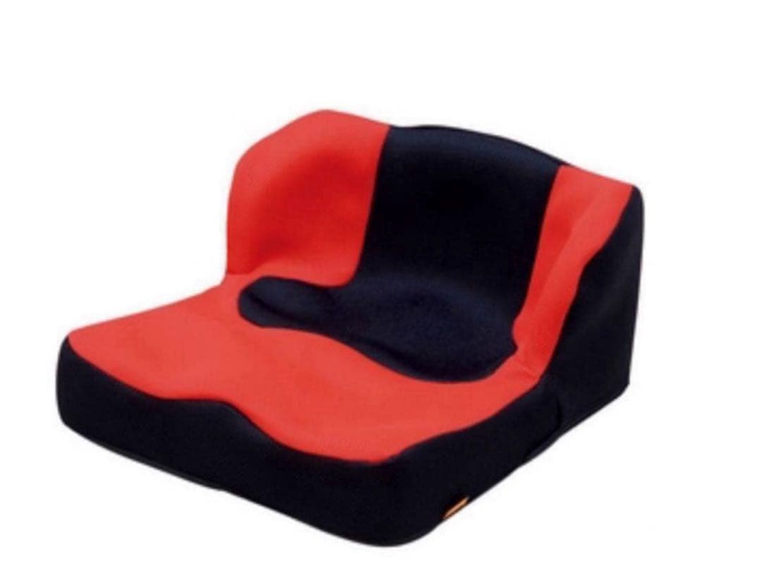 タカノ 座位保持クッション LAPS TC-L01 レッド