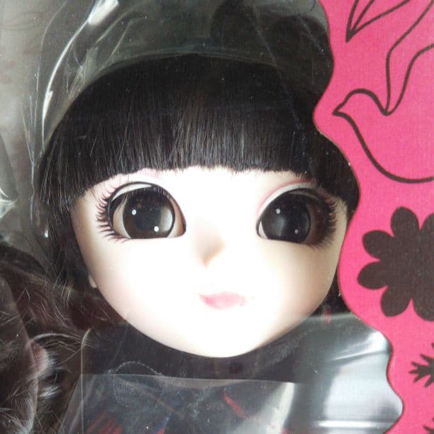 レア*送料込み グルーヴ プーリップ 旧 ファナティカ 未開封