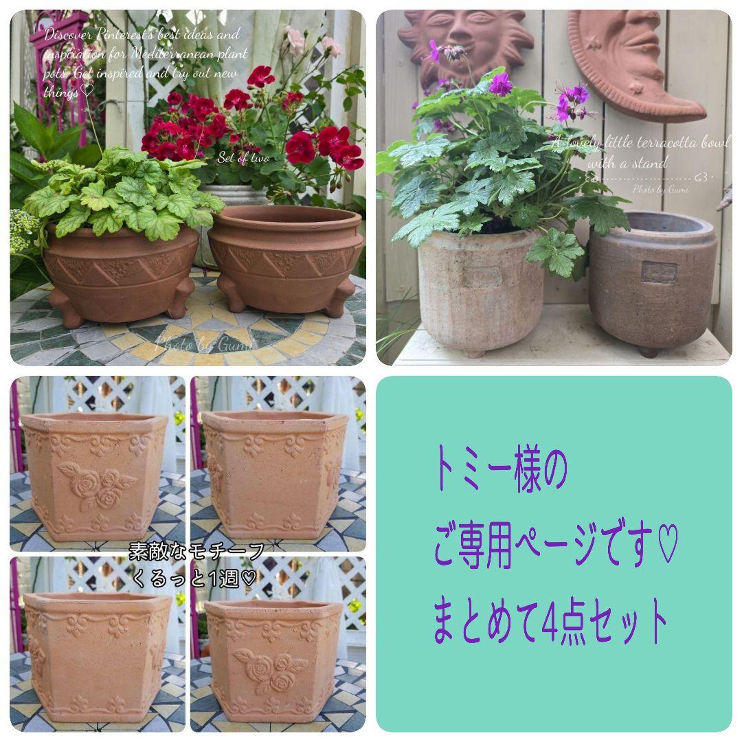 トミー様、いつも本当にありがとうございます✿*:♡