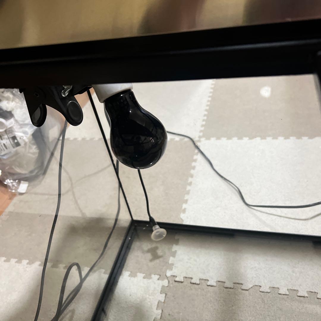 。専用 エキゾテラGEX EXOTERRA グラステラリウム6045