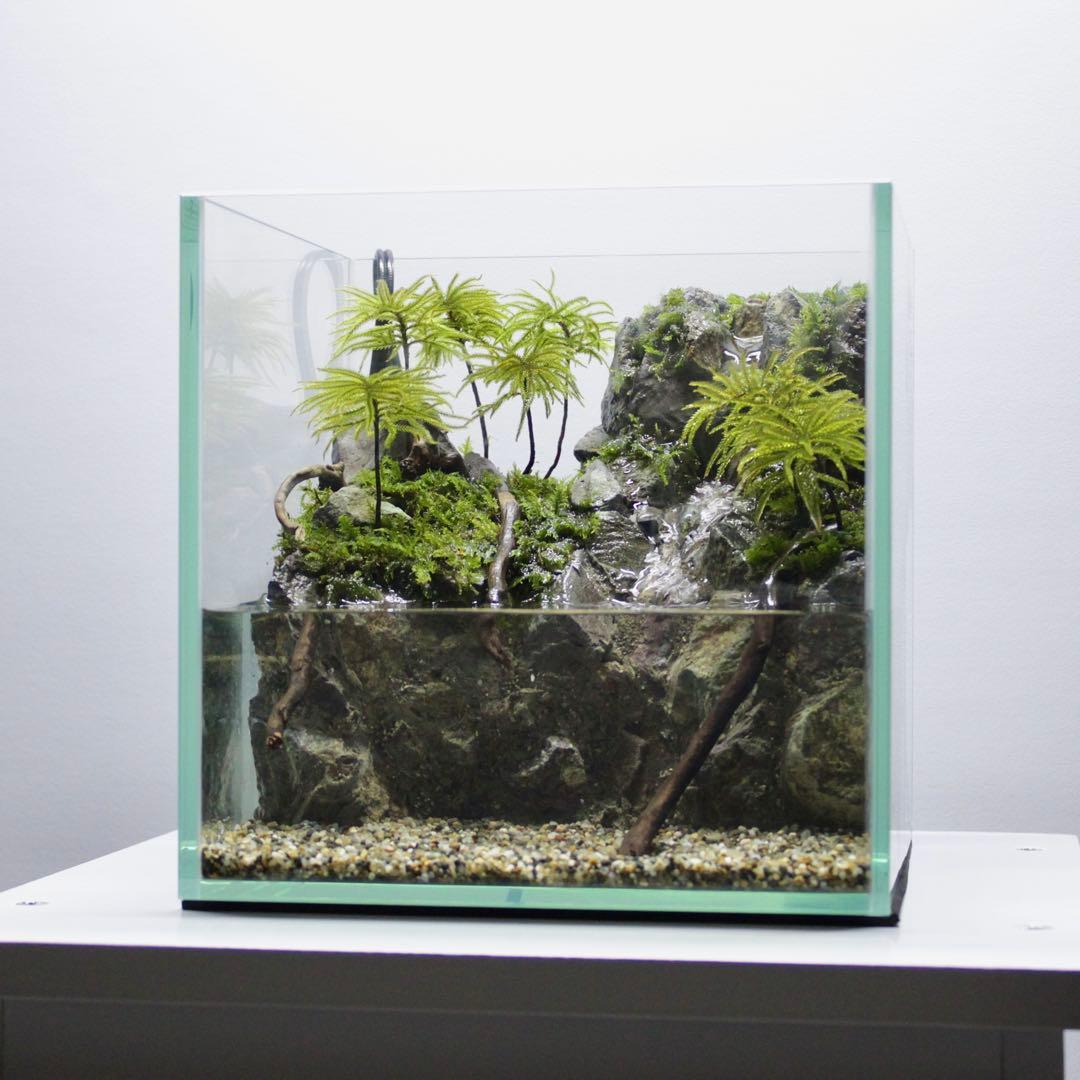 初めてのアクアテラリウム　No.8　パルダリウム　イモリウム　20cm水槽