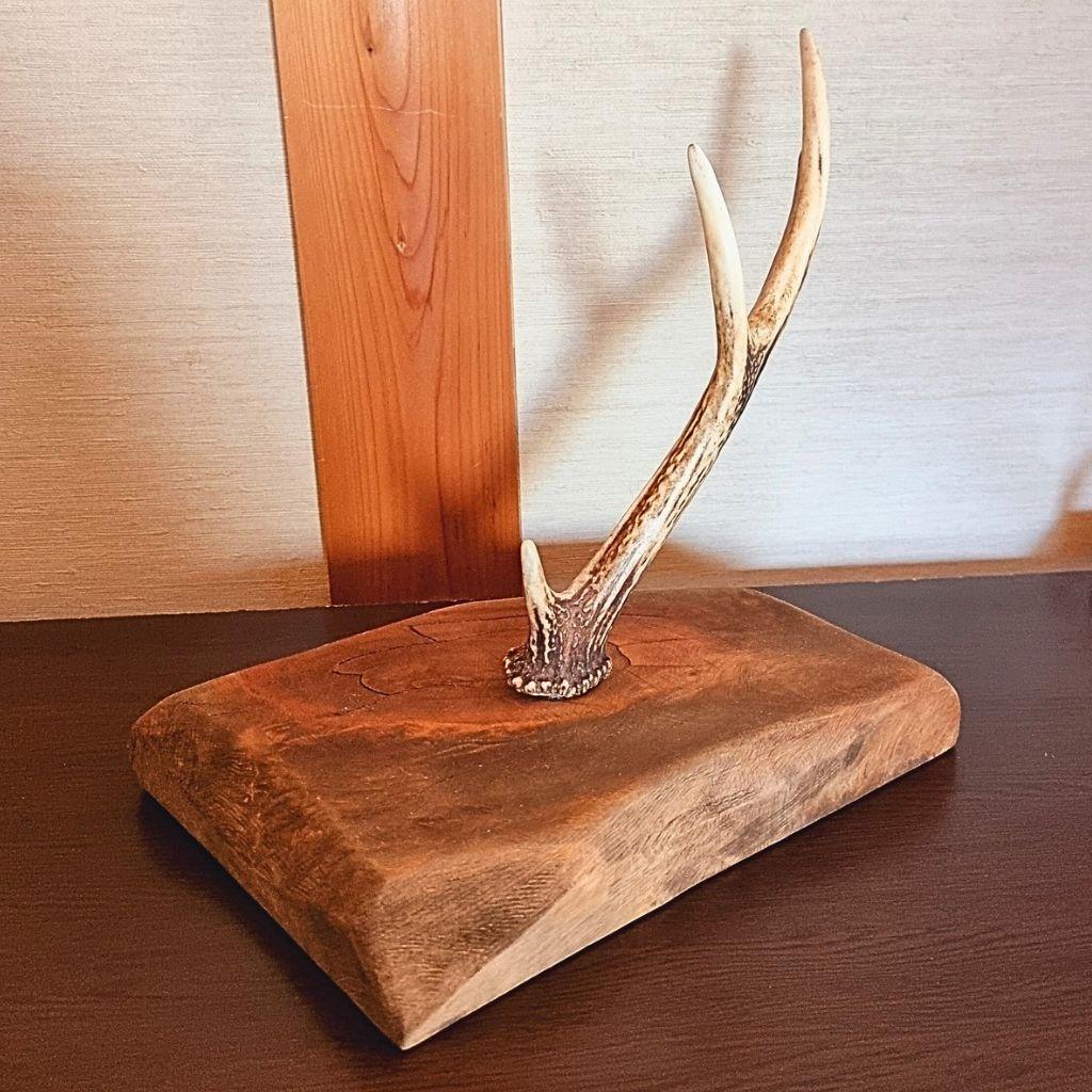 【セール品】鹿角とひのきのアクセサリースタンド 値引受付中