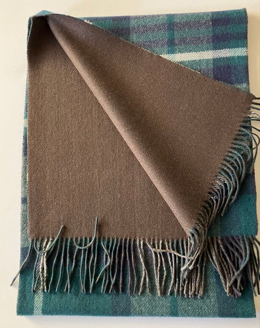 むねりん様⭐︎専用　　※ケース無し